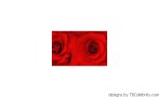 The_Rose_Argentine_Dance_Tango_Y_Nuevo_York