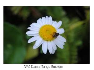 NYC Dance Tango Emblem Sun flower
