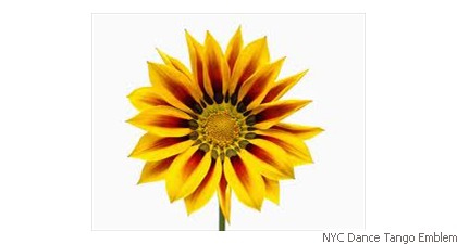 NYC Dance Tango Emblem Sun flower