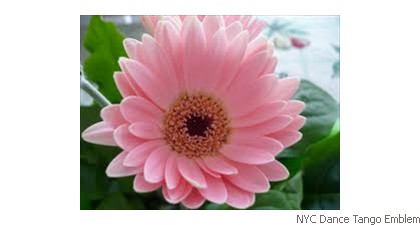 NYC Dance Tango Emblem Sun flower