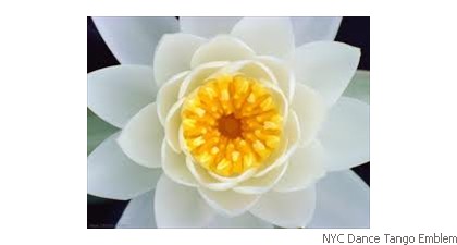 NYC Dance Tango Emblem Sun flower